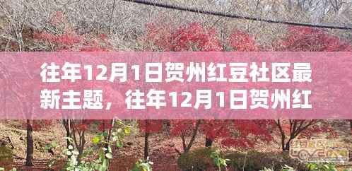 贺州红豆社区往年1月1日最新主题深度评测与介绍