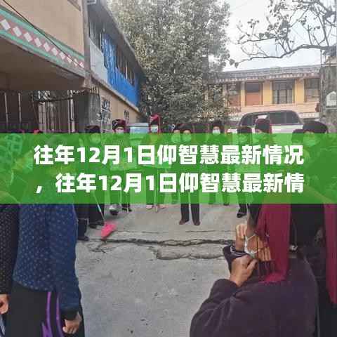 往年12月1日仰智慧最新情况详解,初学者与进阶用户的探索步骤指南