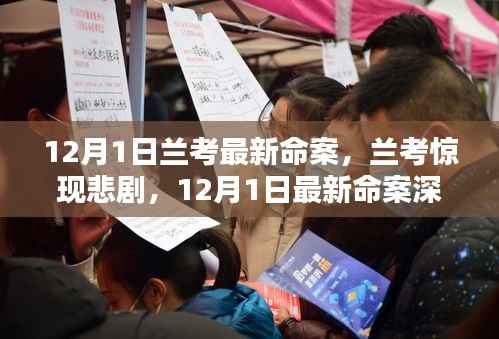 兰考悲剧揭秘,深度解析最新命案内幕