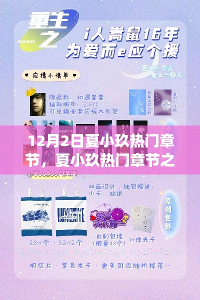 夏小玖热门章节探析与个人立场阐述,12月2日之我见