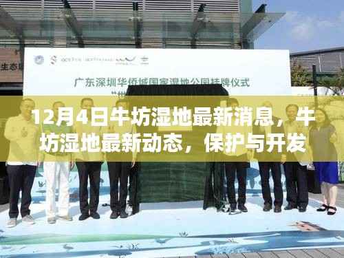 牛坊湿地最新动态,保护与开发的平衡之道揭秘