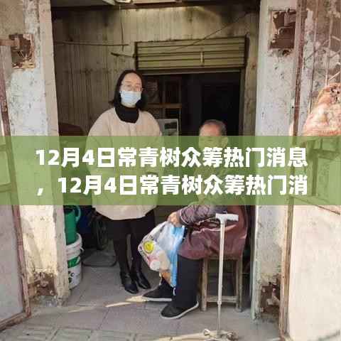 12月4日常青树众筹最新动态与成功案例探索