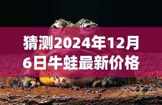 2024年12月6日牛蛙价格走势预测,市场趋势分析与未来展望