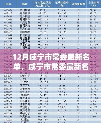 12月咸宁市常委最新名单,咸宁市常委最新名单科技新品亮相,智能时代,革新未来体验