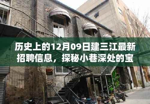 建三江最新招聘信息揭秘,小巷深处的宝藏与特色小店的独特风采