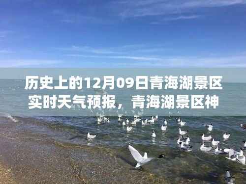 青海湖景区神秘角落探索,天气预报下的惊喜之旅与独特风情体验