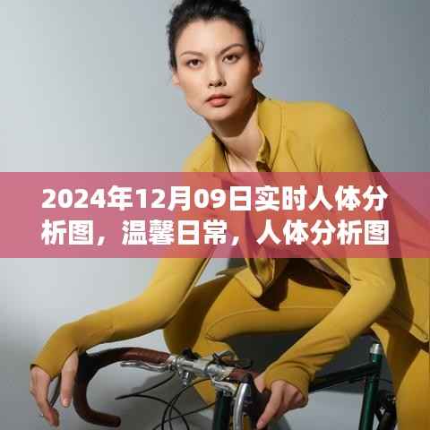 温馨日常,人体分析图的奇妙一天(实时更新,日期,2024年12月09日)