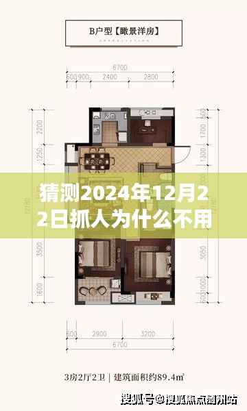 揭秘,为何未来抓人行动不依赖实时卫星技术?揭秘2024年12月22日的抓人行动背后的原因。