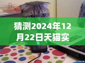 探索未来天猫之旅,揭秘天猫实时大厅猜想与内心平静的秘境