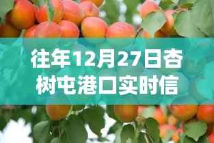 杏树屯港口,美食秘境与实时信息的探索之旅