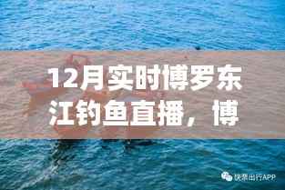 博罗东江畔的钓鱼盛宴,12月实时钓鱼直播开启!