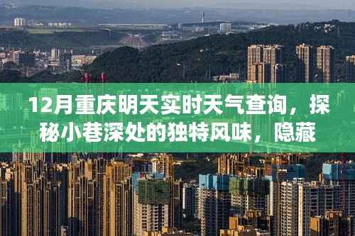 探秘重庆小巷美食，实时天气下的惊喜小店与独特风味