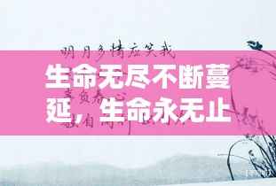 生命无尽不断蔓延,生命永无止尽