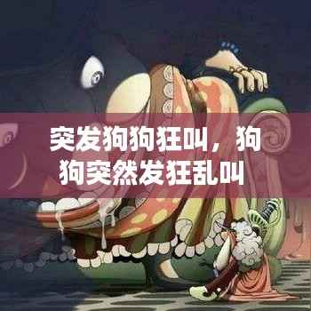 突发狗狗狂叫,狗狗突然发狂乱叫