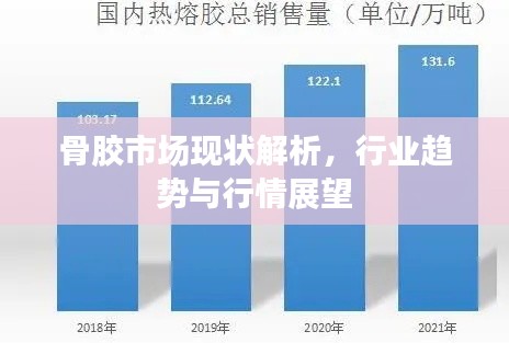 骨胶市场现状解析，行业趋势与行情展望