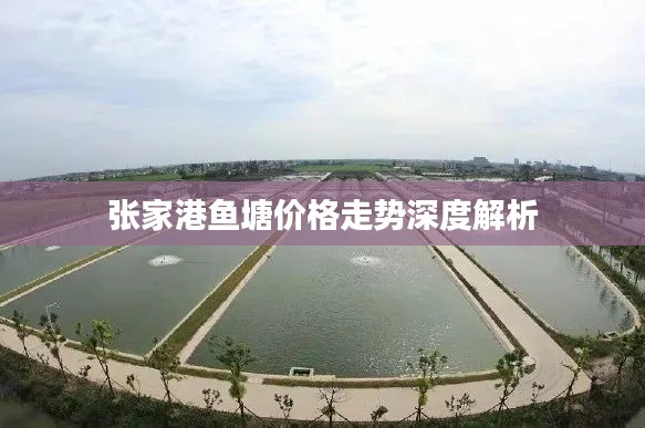 张家港鱼塘价格走势深度解析