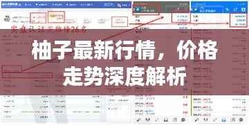 纡尊降贵 第3页