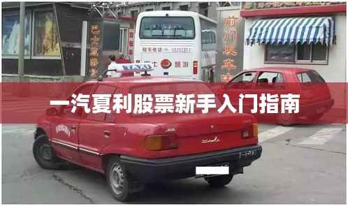 一汽夏利股票新手入门指南