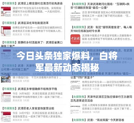 今日头条独家爆料,白将军最新动态揭秘