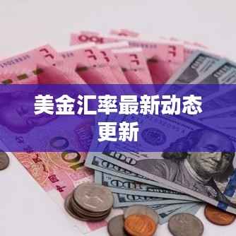 美金汇率最新动态更新
