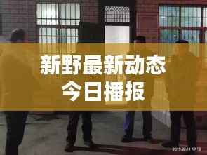 新野最新动态今日播报