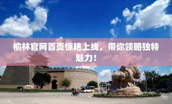 榆林官网首页惊艳上线,带你领略独特魅力!