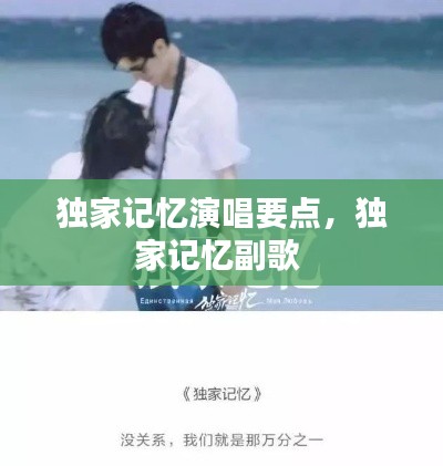 独家记忆演唱要点,独家记忆副歌