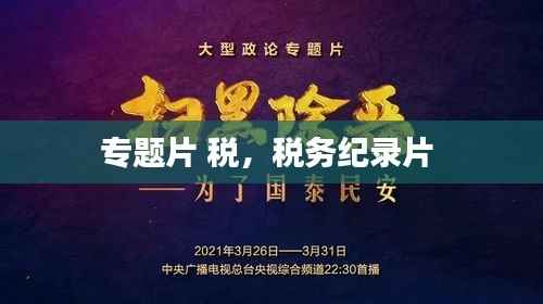 专题片 税,税务纪录片
