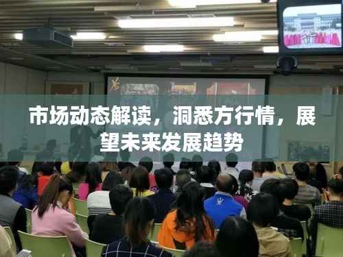 市场动态解读，洞悉方行情，展望未来发展趋势