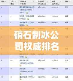 硝石制冰公司权威排名榜单揭晓