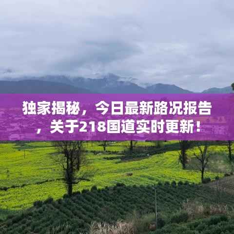 金石为开 第3页