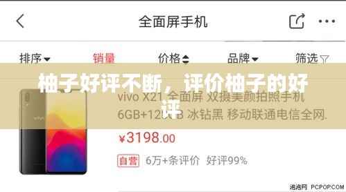 柚子好评不断,评价柚子的好评