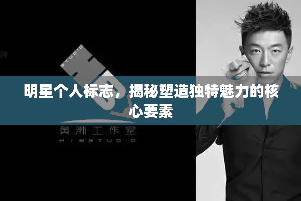 明星个人标志,揭秘塑造独特魅力的核心要素