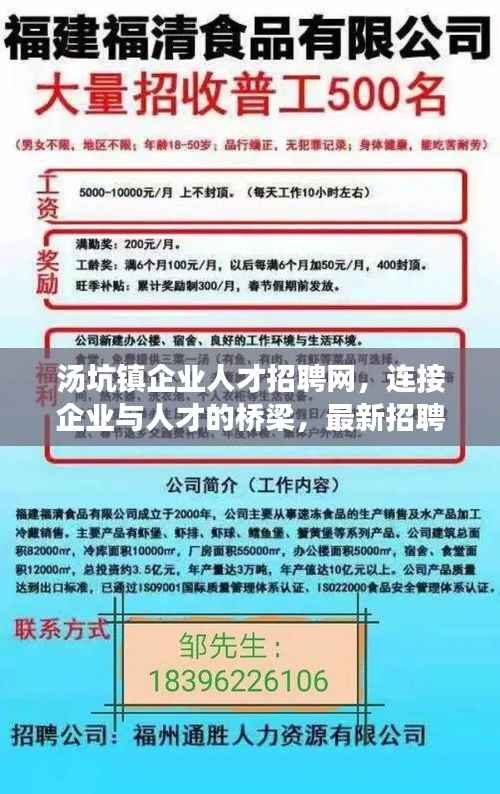 汤坑镇企业人才招聘网,连接企业与人才的桥梁,最新招聘信息一网打尽!