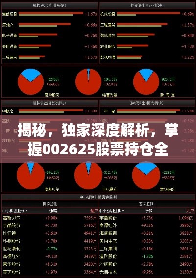 揭秘,独家深度解析,掌握002625股票持仓全景图