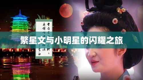 繁星文与小明星的闪耀之旅