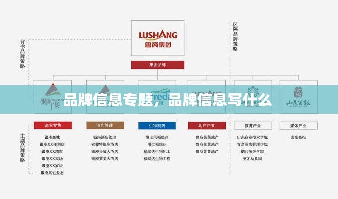 品牌信息专题,品牌信息写什么