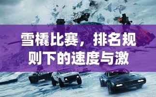 雪橇比赛,排名规则下的速度与激情角逐