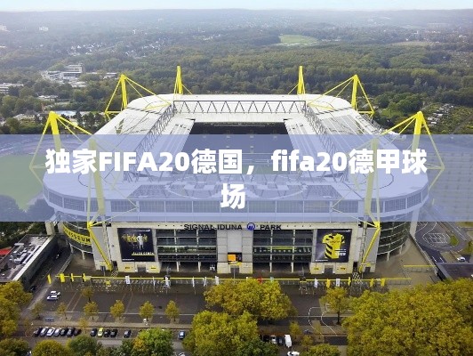 独家FIFA20德国，fifa20德甲球场 