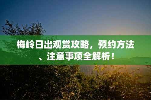 梅岭日出观赏攻略,预约方法、注意事项全解析!