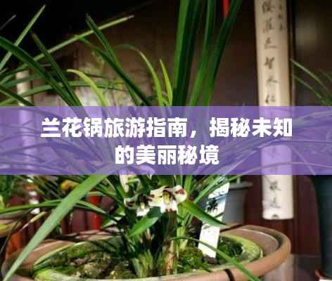 兰花锅旅游指南，揭秘未知的美丽秘境