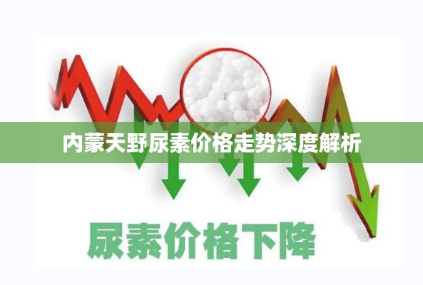 内蒙天野尿素价格走势深度解析