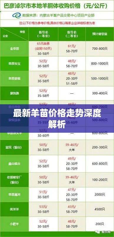 最新羊苗价格走势深度解析