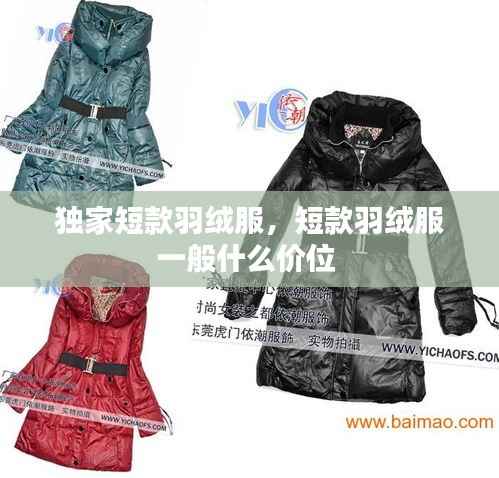 独家短款羽绒服,短款羽绒服一般什么价位