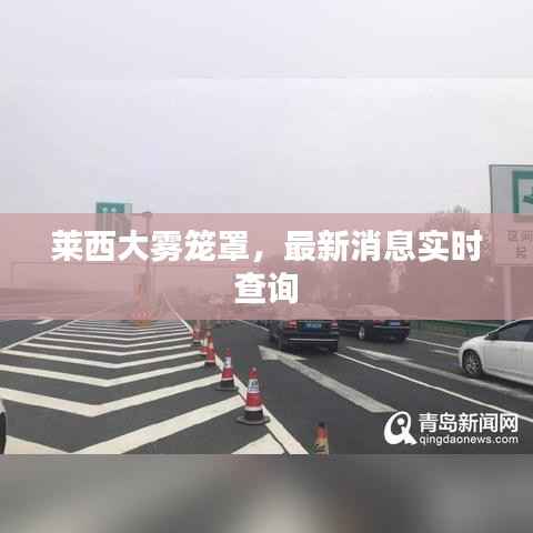 莱西大雾笼罩,最新消息实时查询