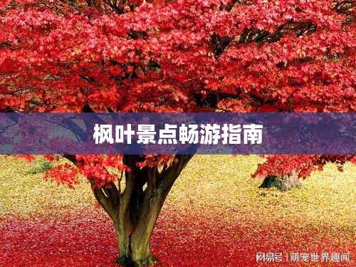 公司概况 第63页