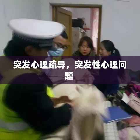 突发心理疏导,突发性心理问题