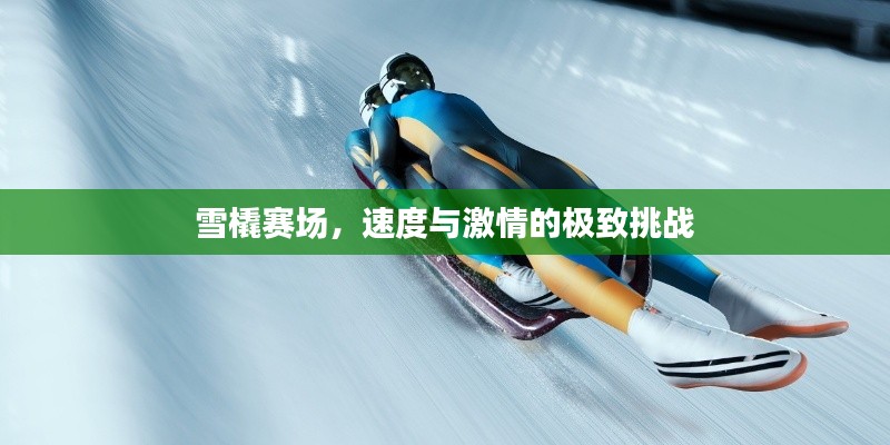 雪橇赛场,速度与激情的极致挑战