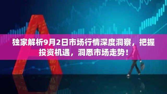 独家解析9月2日市场行情深度洞察，把握投资机遇，洞悉市场走势！