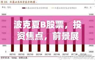 波克夏B股票,投资焦点,前景展望深度解析